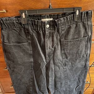 Madewell Pull-On Balloon Jeans in Hobson Wash: Paperbag Edition TXL